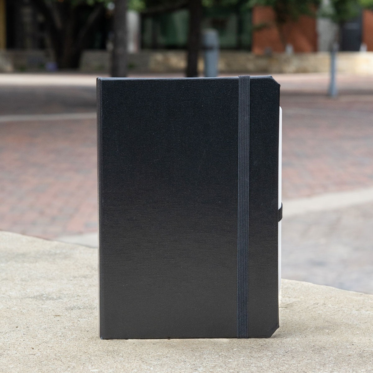 iPad Mini 1|2|3|4|5|6 & 7 (2024) Case