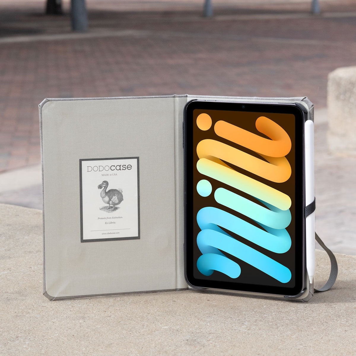 iPad Mini 1|2|3|4|5|6 & 7 (2024) Case
