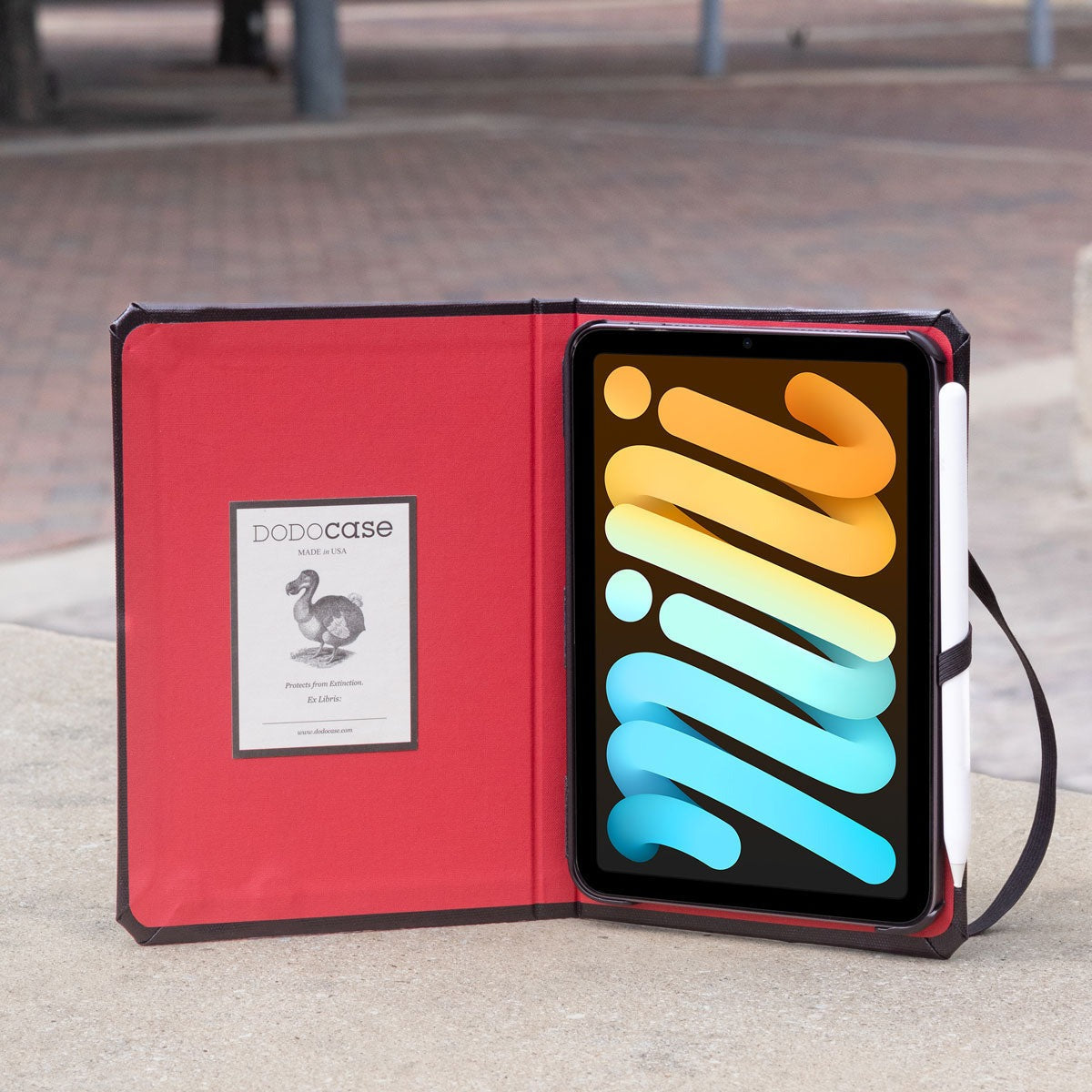 iPad Mini 1|2|3|4|5|6 & 7 (2024) Case