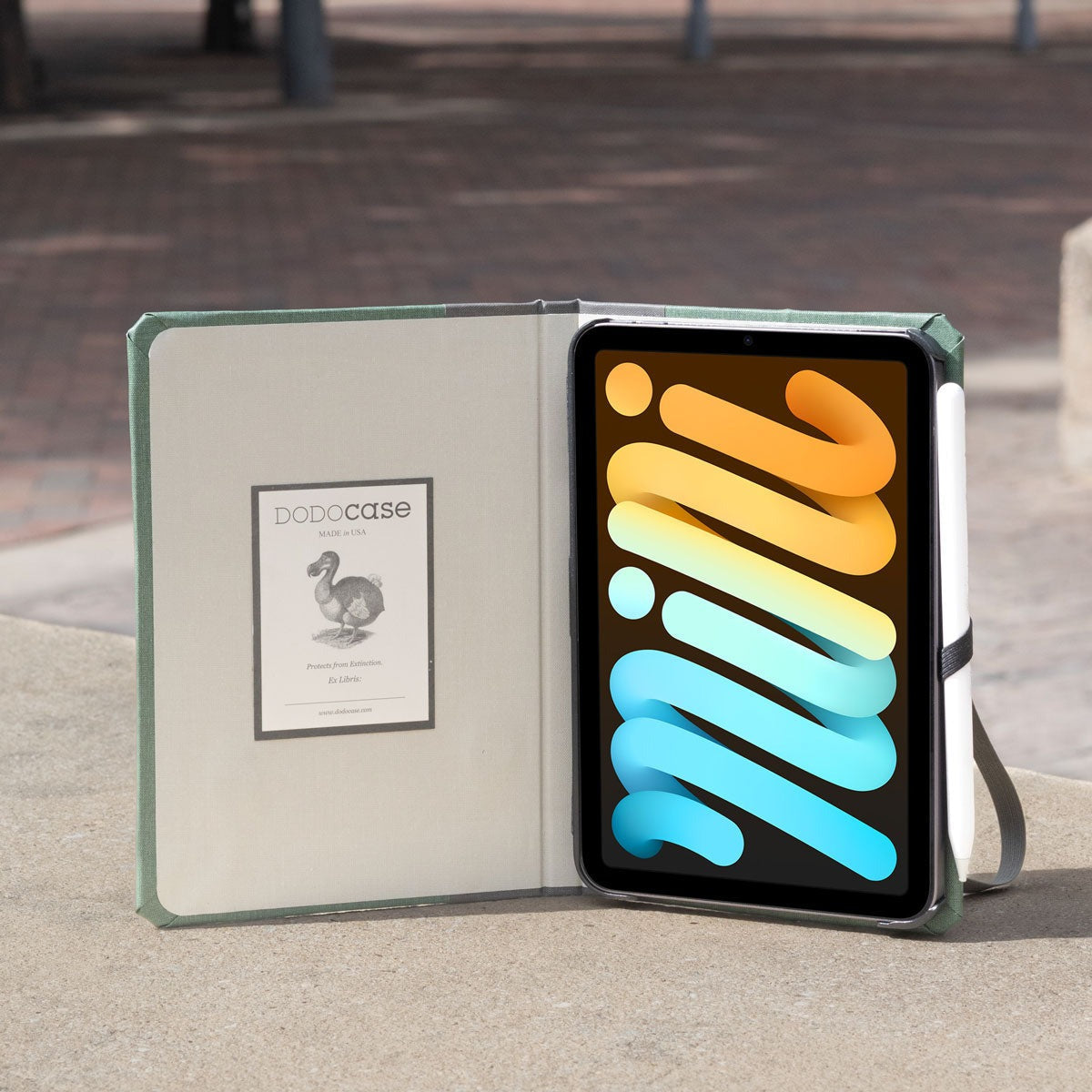 iPad Mini 1|2|3|4|5|6 & 7 (2024) Case