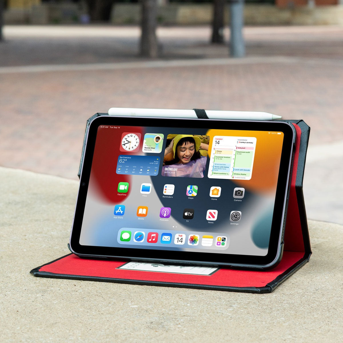 iPad Mini 1|2|3|4|5|6 & 7 (2024) Case