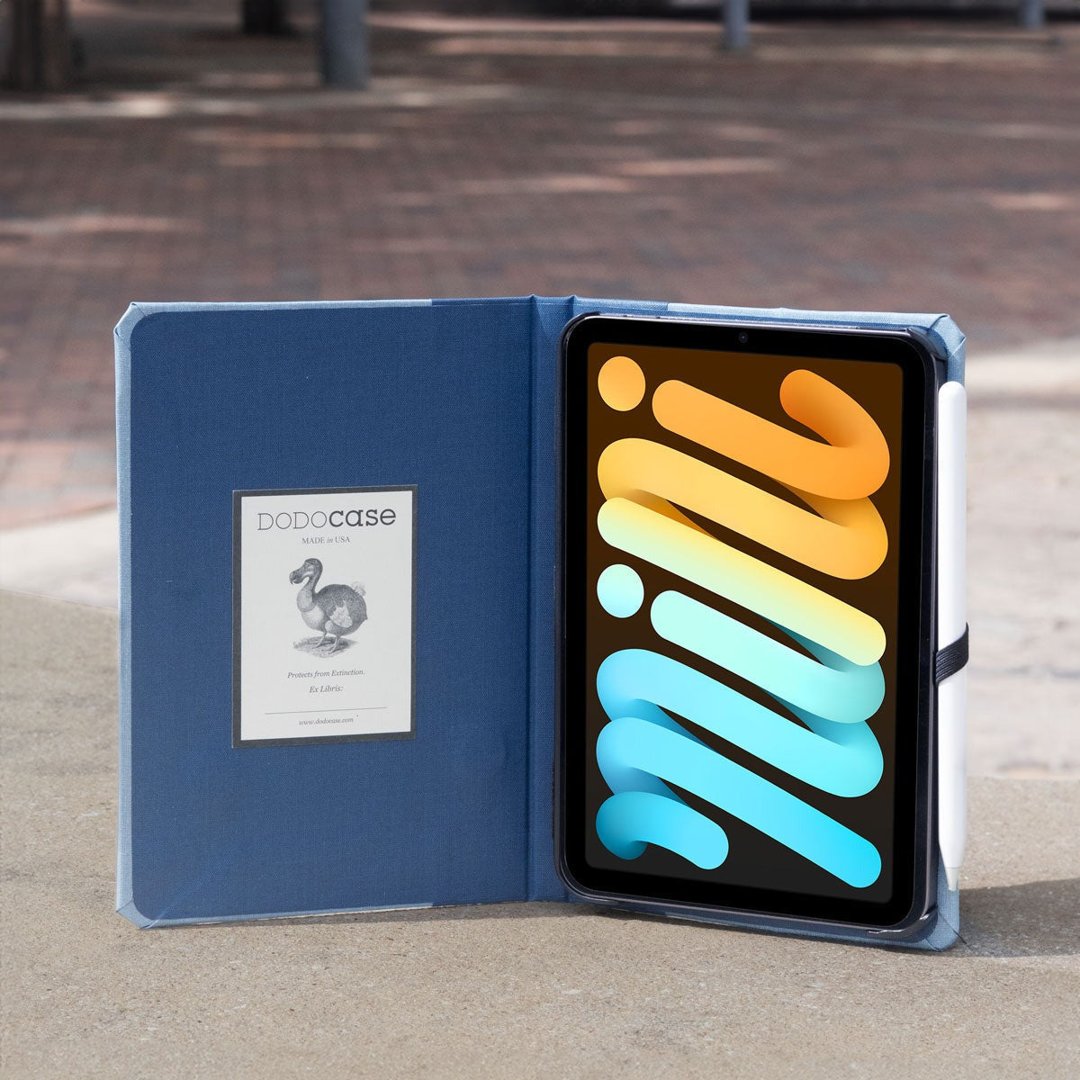 iPad Mini 1|2|3|4|5|6 & 7 (2024) Case