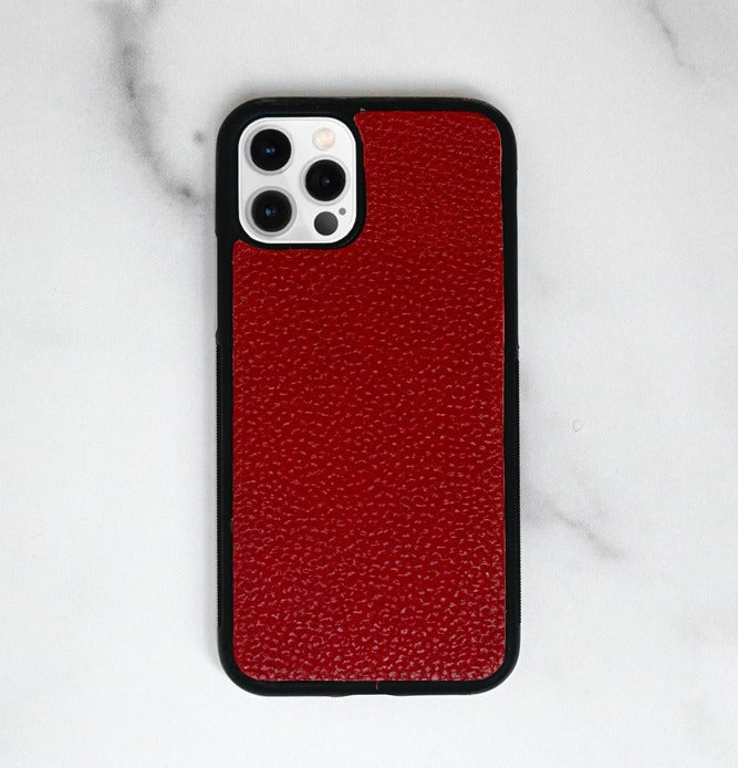 MagSafe iPhone Cases - Colorway