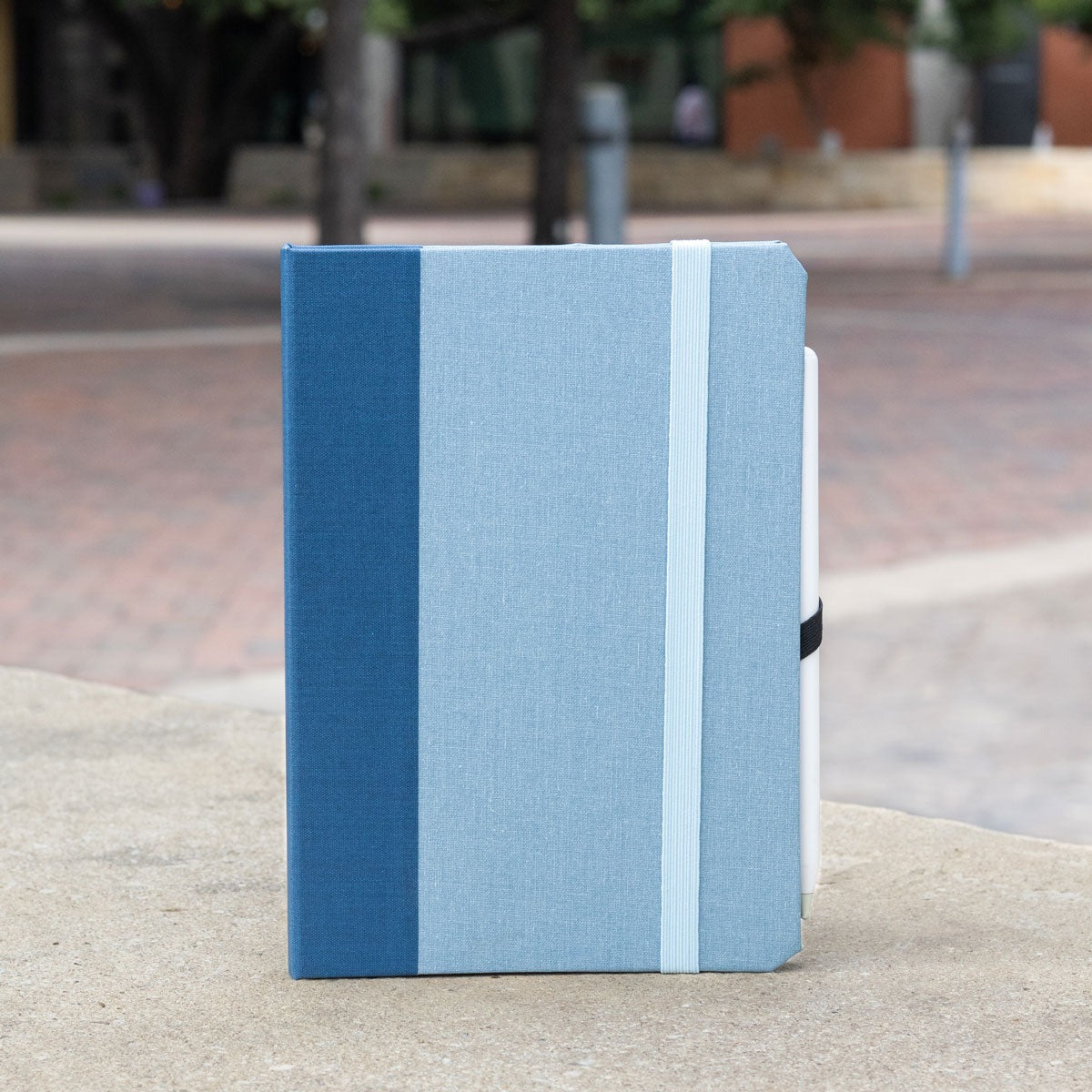 iPad Mini 1|2|3|4|5|6 & 7 (2024) Case
