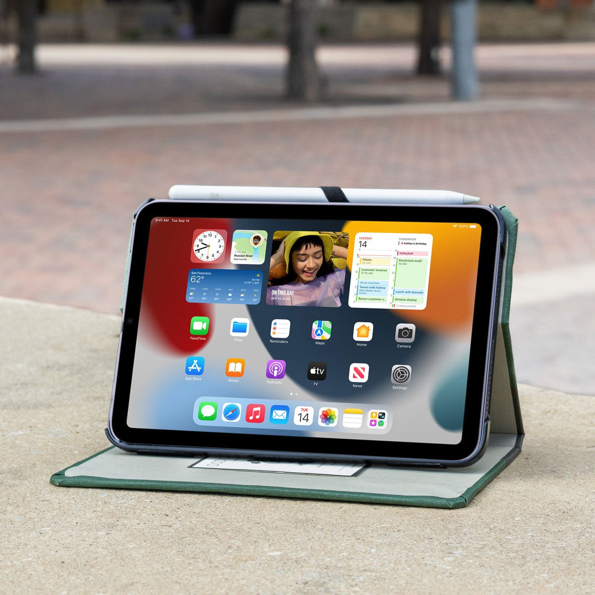 iPad Mini 1|2|3|4|5|6 & 7 (2024) Case