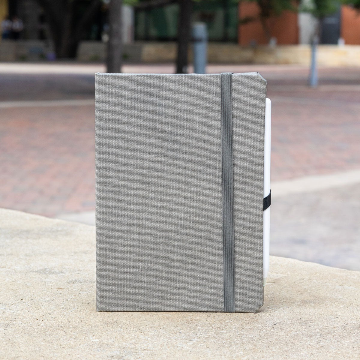 iPad Mini 1|2|3|4|5|6 & 7 (2024) Case