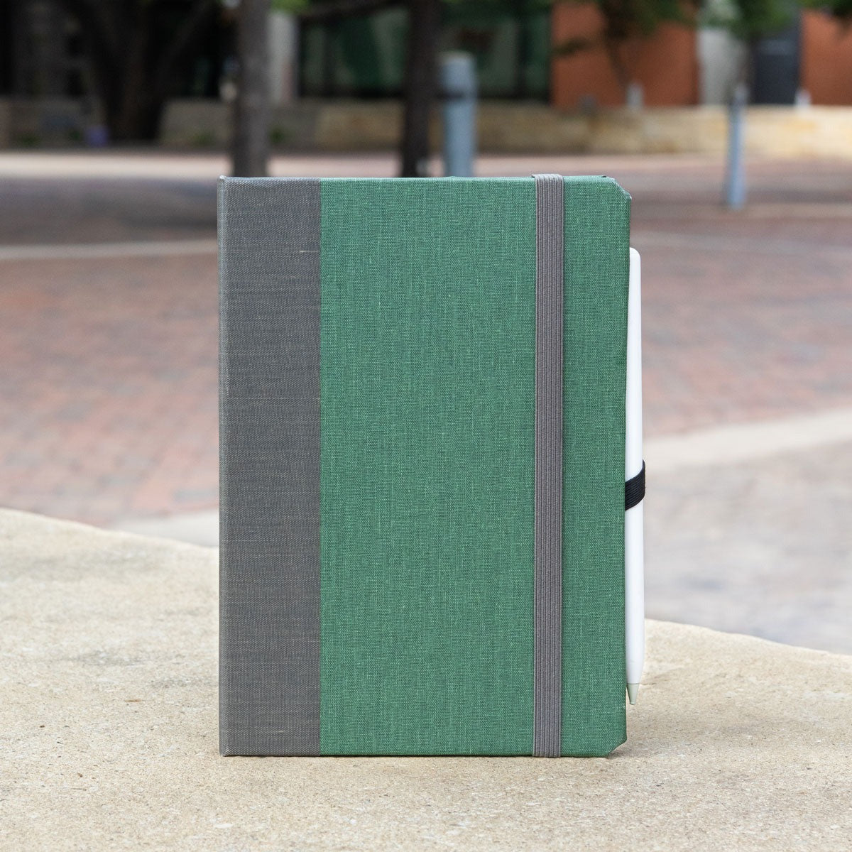 iPad Mini 1|2|3|4|5|6 & 7 (2024) Case